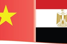 Le Vietnam félicite l’Egypte pour sa 70e Fête nationale