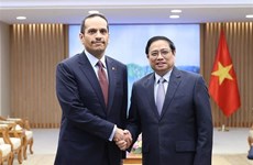 Le Vietnam et le Qatar ont des places pour booster leur coopération bilatérale