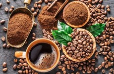 Le Vietnam, deuxième exportateur mondial de café