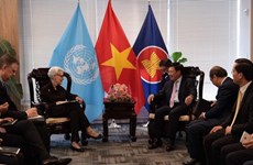 Le Vietnam promeut les relations de coopération bilatérale