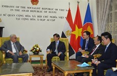 Le Vietnam et l'Egypte conviennent de booster leur coopération multiforme