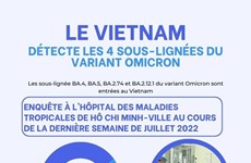 Le Vietnam détecte les 4 sous-lignées du variant Omicron (20/8)