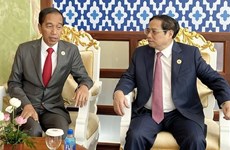 Le Vietnam veut développer son partenariat stratégique avec l'Indonésie