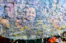 Trân Thanh Thuc, une artiste vietnamienne célèbre pour ses œuvres en morceaux de tissus