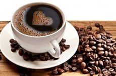 Les exportations nationales de café atteignent un record