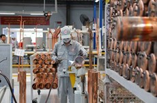 Une usine australienne de 46 millions de dollars entre en service à Binh Duong 