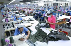 Hanoï a créé des emplois pour plus de 64.000 travailleurs en quatre mois