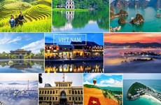 Le nombre de recherches internationales sur le tourisme vietnamien en forte hausse