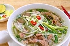 Développement d'une carte culinaire vietnamienne
