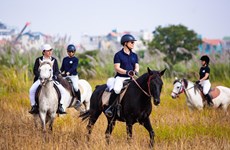 Découvrir les sports équestres à Hanoi