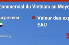 EAU: le plus grand partenaire commercial du Vietnam au Moyen-Orient et en Afrique du Nord 