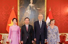 Approfondissement des relations bilatérales Vietnam-Autriche 