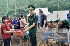 Thanh Hoa : les conditions de vie des H’Mông s’améliorent