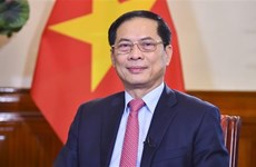 2023 - Une année réussie pour la diplomatie vietnamienne