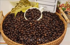 Les exportations de café dépassent 620 millions de dollars en janvier