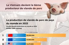Le Vietnam devient le 6ème producteur de viande de porc