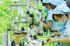 Rebond des exportations vietnamiennes vers les États-Unis