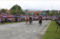 Lao Cai organisera des activités culturelles et sportives pour attirer plus de visiteurs