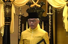 Malaisie : élection du roi et du roi adjoint