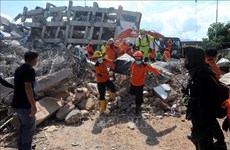 Indonésie: un séisme de magnitude 4,5 secoue le Sulawesi central