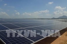 Khanh Hoa envisage de mettre en service des centrales solaires l'année prochaine