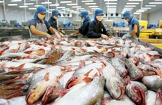 Le Vietnam, plus gros exportateur mondial de pangasius