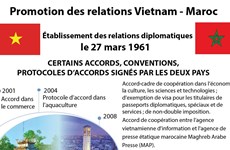 Promotion des relations Vietnam - Maroc