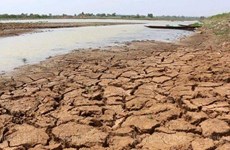 La Thaïlande approuve un plan directeur sur la gestion des ressources en eau