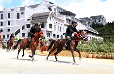 Lao Cai : Ouverture de la course hippique «Sabots de chevaux dans les nuages»