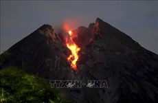 L'Indonésie interdit les activités autour du volcan Merapi