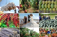 Plus de 33 milliards d'USD d’exportations de produits agricoles, sylvicoles et aquacoles en 10 mois