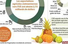 Structure des exportations agricoles vietnamiennes vers l’Union européenne