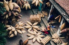 La fabrication de nasses à poisson, un métier traditionnel dans le delta du Nord