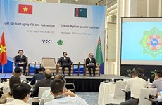 Opportunités de coopération pour les entreprises vietnamiennes et turkmènes