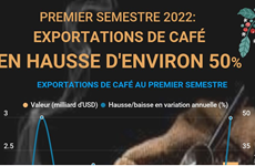 Premier semestre 2022: Exportations de café en hausse de près de 50% 