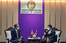 Le Vietnam et la Thaïlande promeuvent la coopération industrielle 