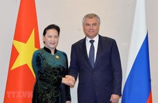 Entrevue entre la présidente de l’AN du Vietnam et le président de la Douma d'Etat de Russie