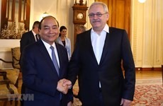 Entrevue entre le PM Nguyên Xuân Phuc  et le président de la Chambre des députés de Roumanie