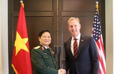 Activités du ministre de la Défense Ngô Xuân Lich en marge du 18e Dialoguie Shangri-La