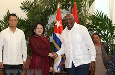 Promotion des relations de solidarité fraternelle Vietnam-Cuba