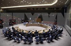 Le Vietnam prendra la présidence du Conseil de sécurité en janvier 2020