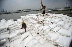 Le Vietnam peut détrôner la Thaïlande de son statut de 2e exportateur mondial de riz
