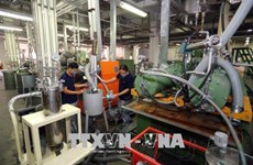Dông Nai : secteur industriel en croissance