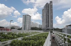 Singapour construira des fermes sur les toits des parkings