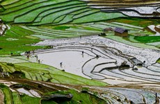 La mise en eau des rizières à Y Ty: des escaliers vers le paradis