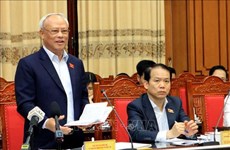 Des localités vietnamiennes se préparent aux prochaines élections législatives