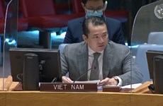 ONU : le Vietnam condamne l’utilisation d’armes chimiques