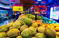 Les durians vietnamiens prennent pied en Australie