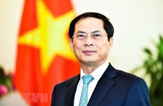 Les contributions de la diplomatie vietnamienne à la défense et au développement national