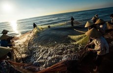 Redoubler d'efforts pour lutter contre la pêche INN vers une pêche durable